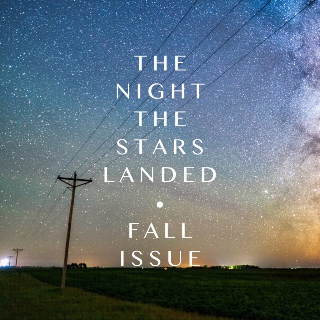 Power line in front of a starry sky; The Night the Stars Landed, Fall Issue