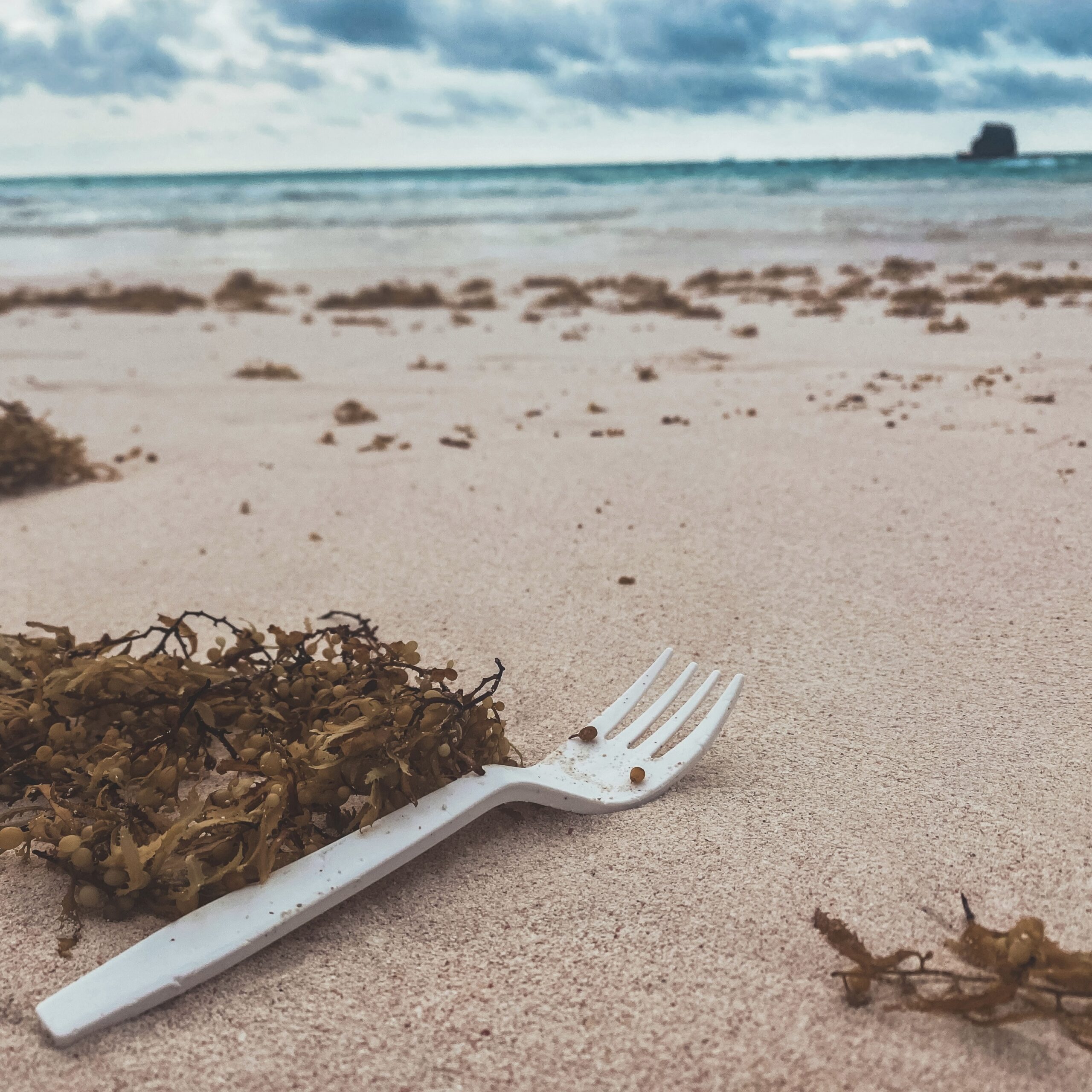 A disposable white fork on an empty beach with ocean in the background.