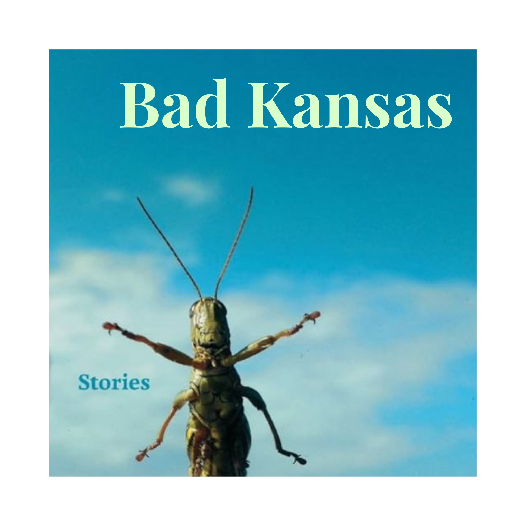 Cover of Bad Kansas: Stories; blue sky, clouds, grasshopper bottom left