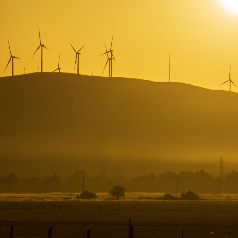 Wind turbines on a yellow hillside