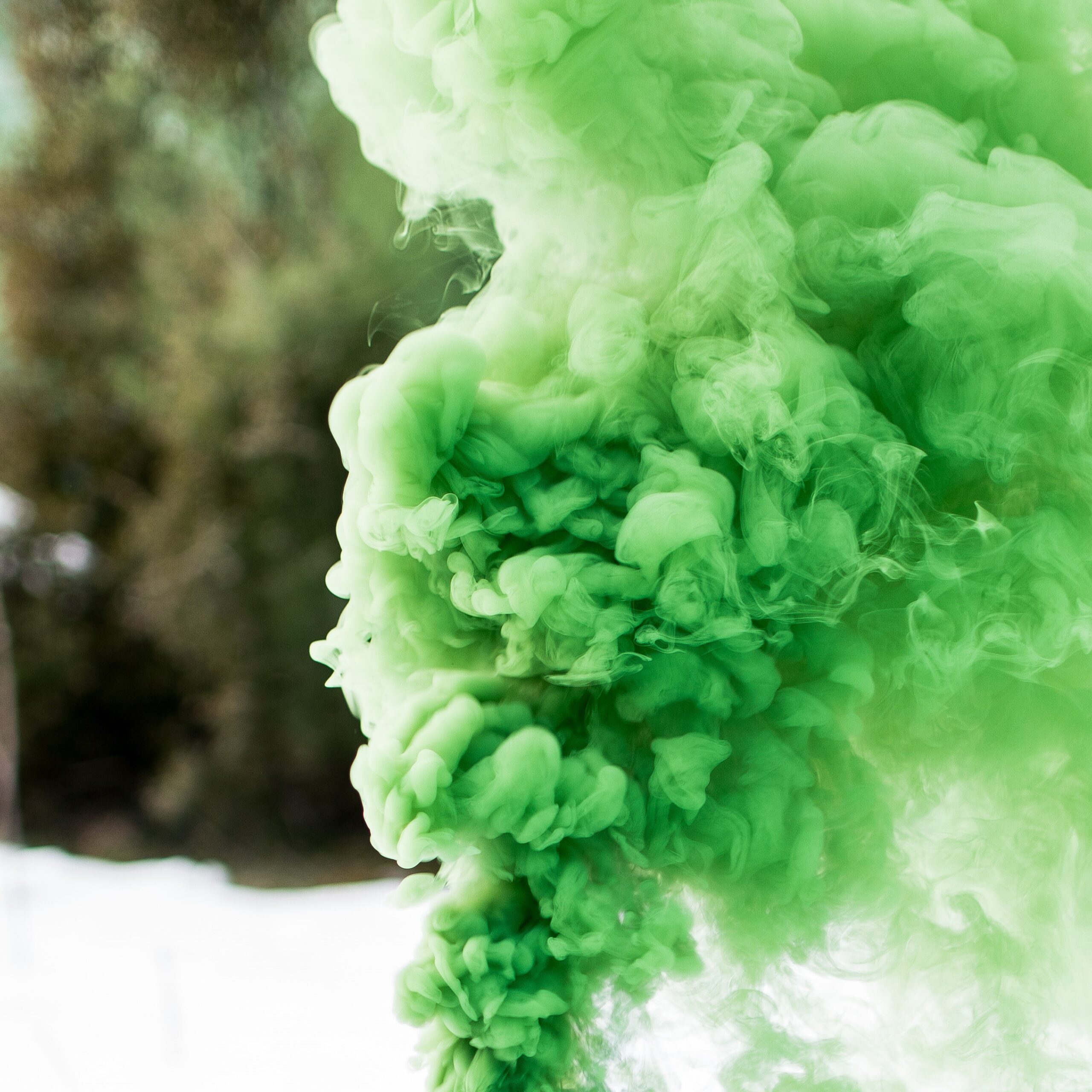 Green smoke over trees and snow